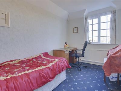 Picture 17